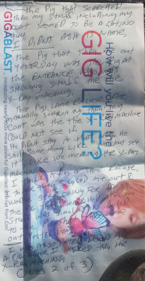 False arrest, civil rights violations, Friday, December 18, 2014, Maricopa County Court House, Maricopa County Sheriff Brotherton, badge #1287, Conrad Chavez