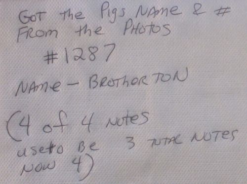 False arrest, civil rights violations, Friday, December 18, 2014, Maricopa County Court House, Maricopa County Sheriff Brotherton, badge #1287, Conrad Chavez